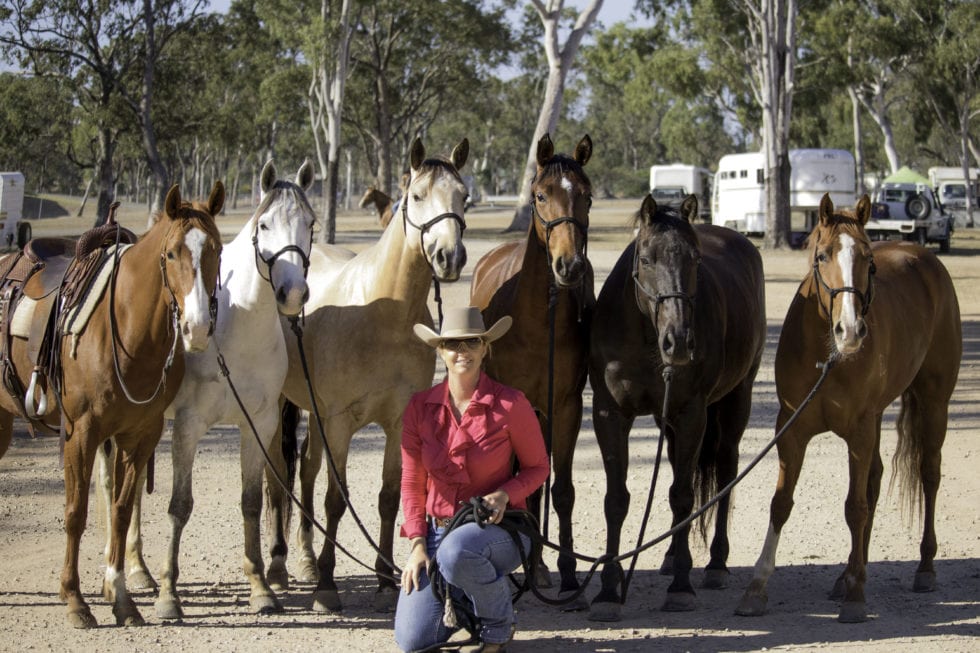 Beljay Performance Horses